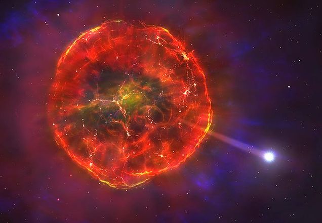 ejected white dwarf failed supernova